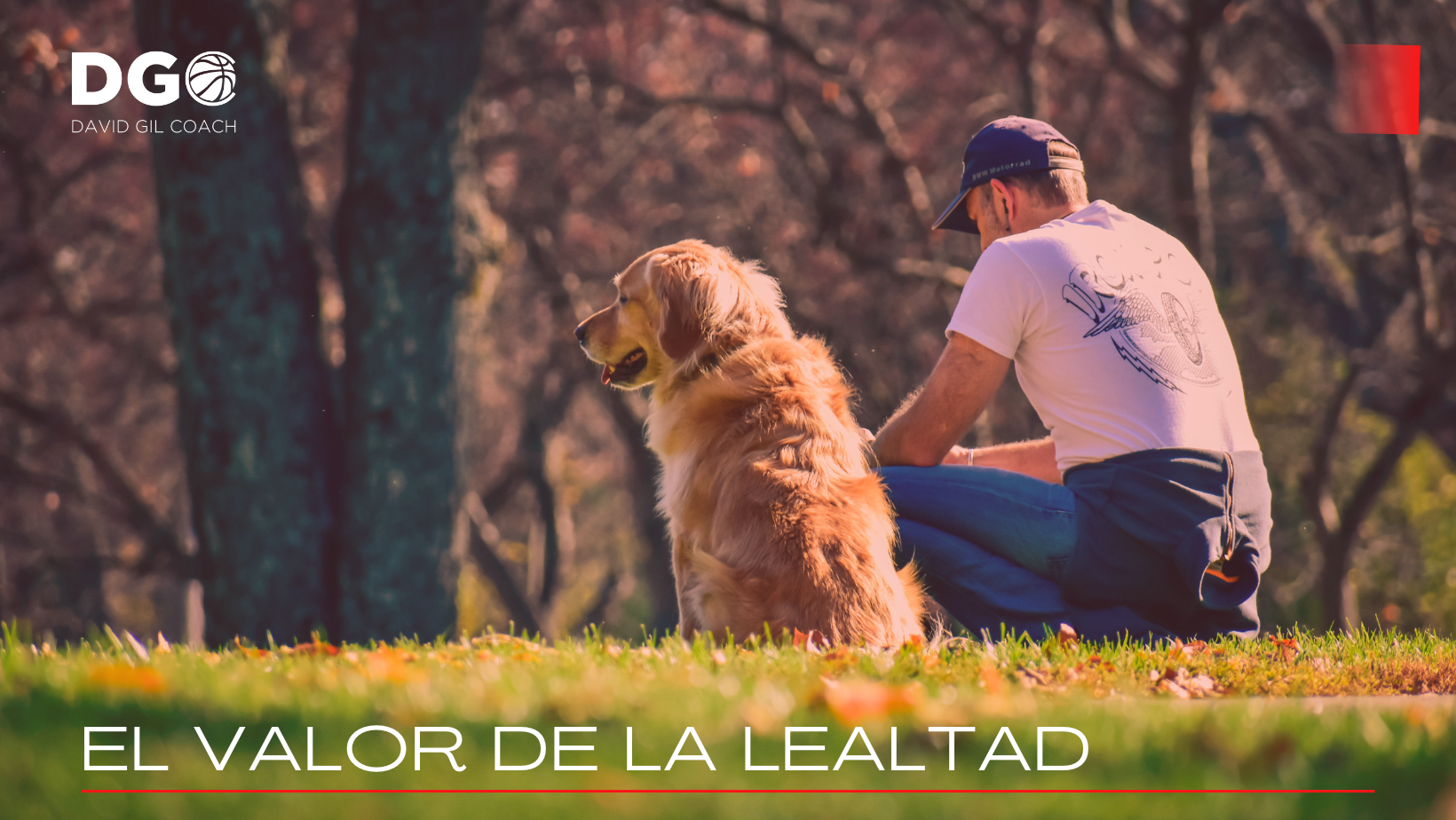 El Valor De La Lealtad - David Gil | Coach